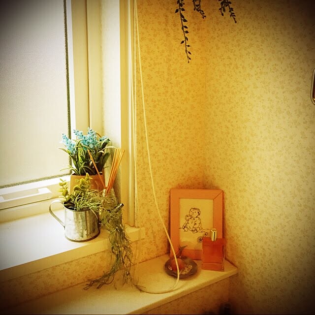 naoさんの実例写真