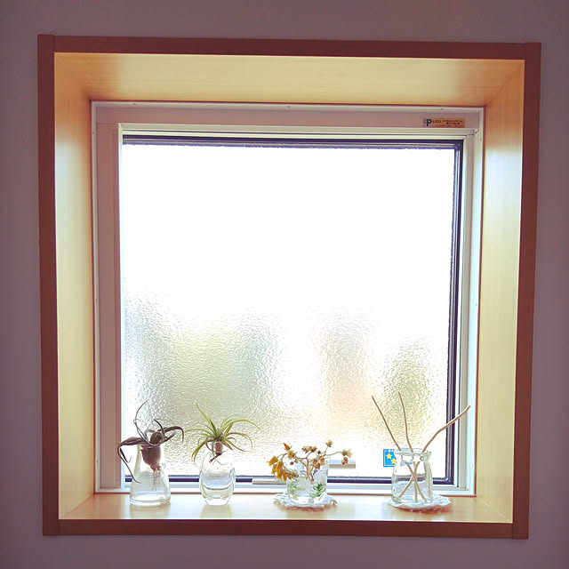 バス/トイレ/観葉植物のある暮らし/子供のいる暮らし/グリーンのある暮らし/多肉植物...などのインテリア実例 - 2020-05-01 16:09:44