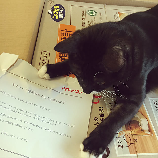 masamasaさんの実例写真