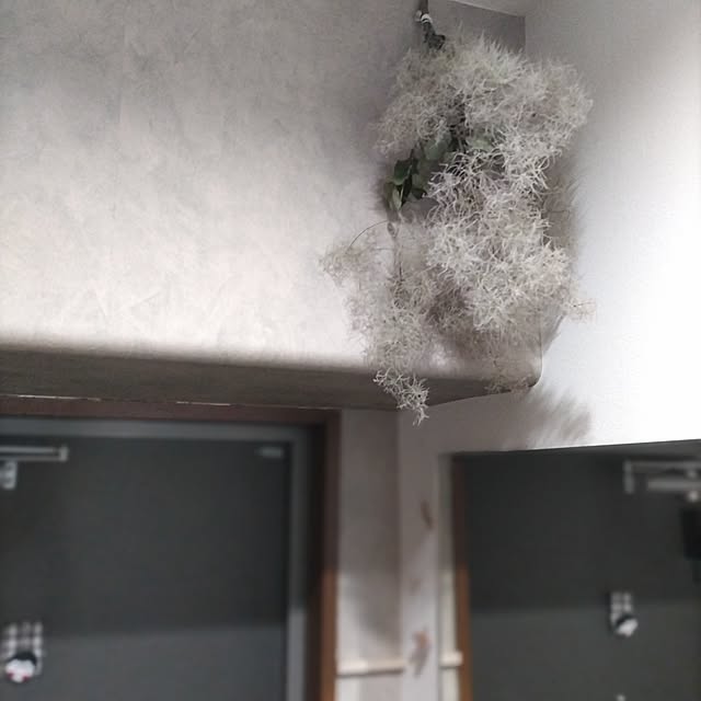sakiさんの部屋