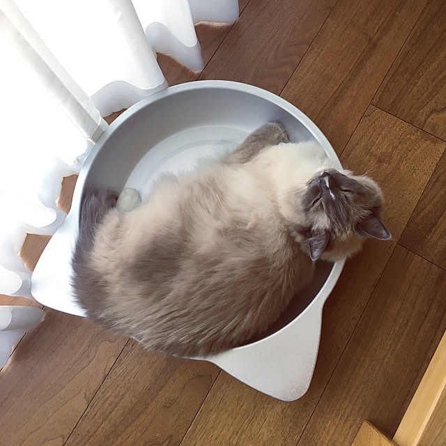 ne-coさんの実例写真