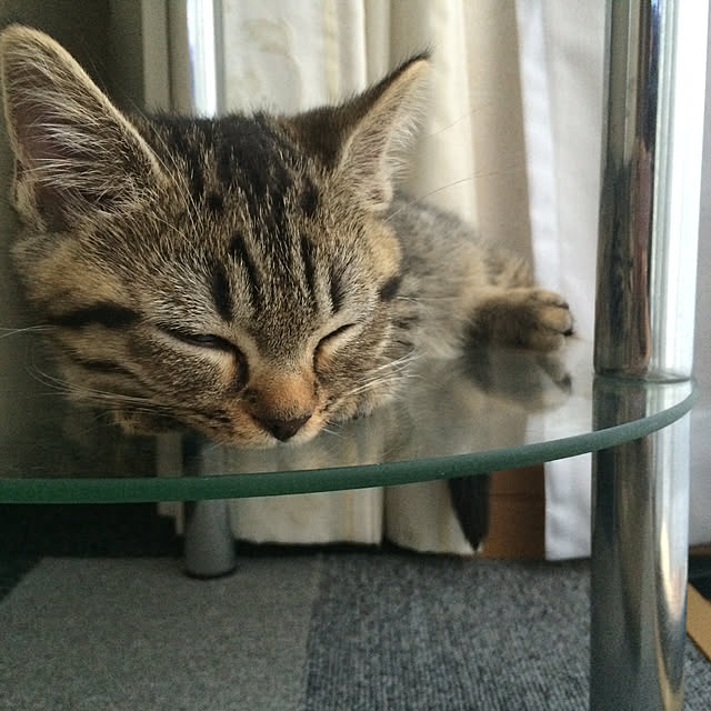 Mihoさんの実例写真