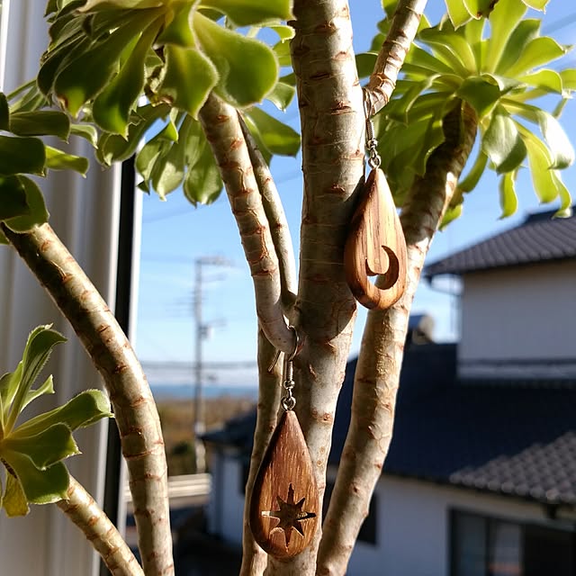 kimuneisanさんの実例写真