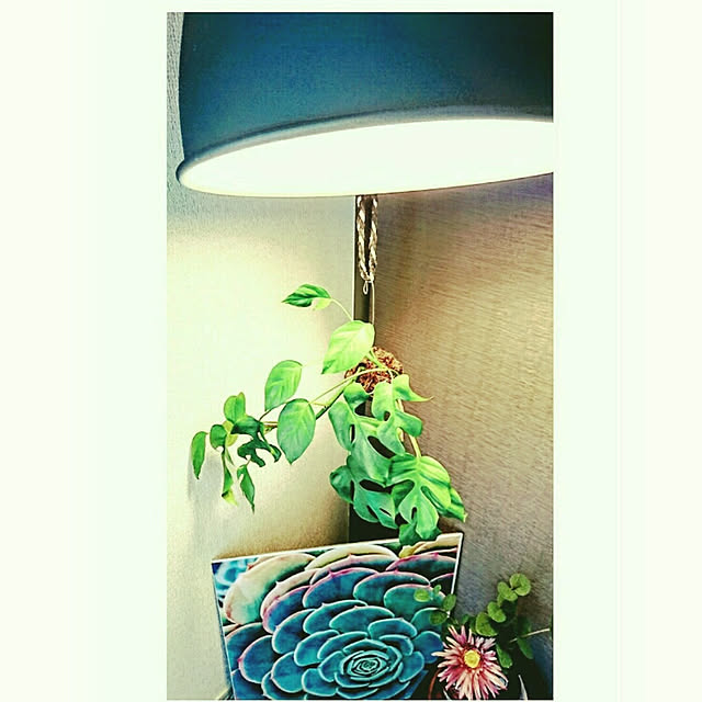 s.p.sunaoさんの実例写真