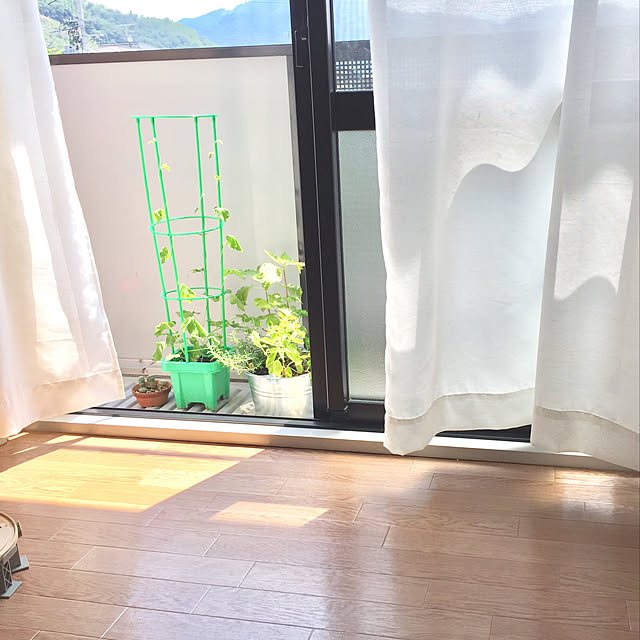 kiwigoldさんの実例写真