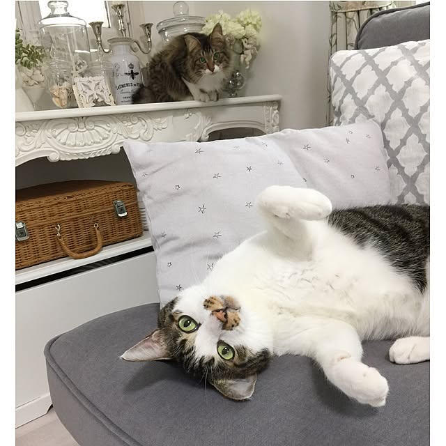 yuchiさんの実例写真