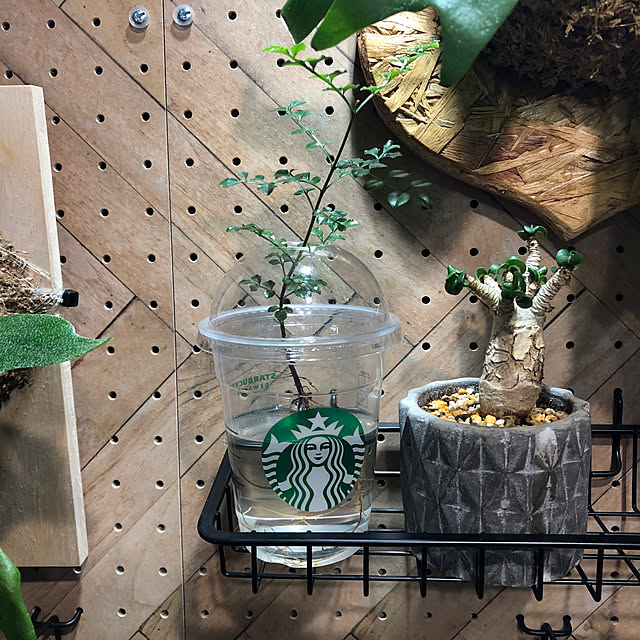 CoffeeHouseさんの部屋