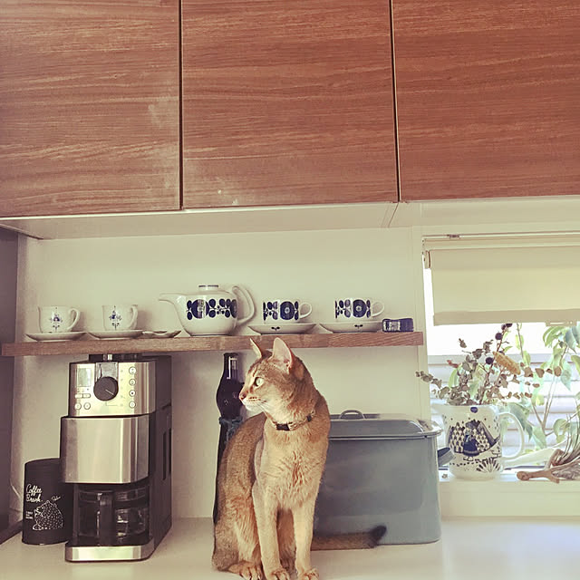 sakineko528さんの実例写真