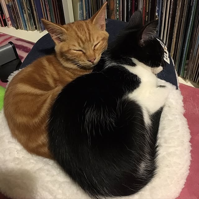 miyabiさんの実例写真