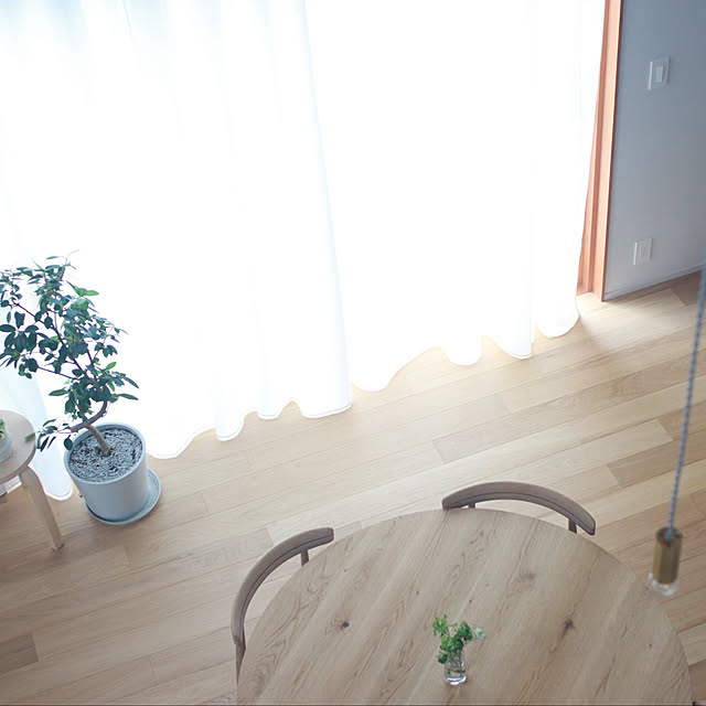 部屋全体のインテリア実例 - 2025-05-17 13:52:15