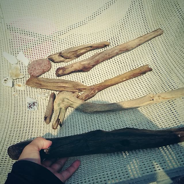 mikugeさんの実例写真