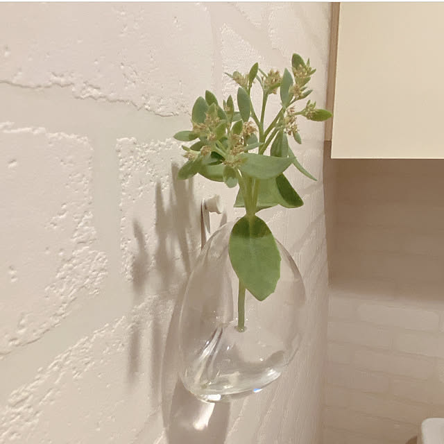 biroballonneさんの部屋