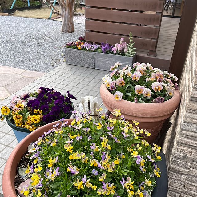ronronさんの部屋