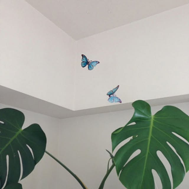 asano_salvatoreさんの実例写真