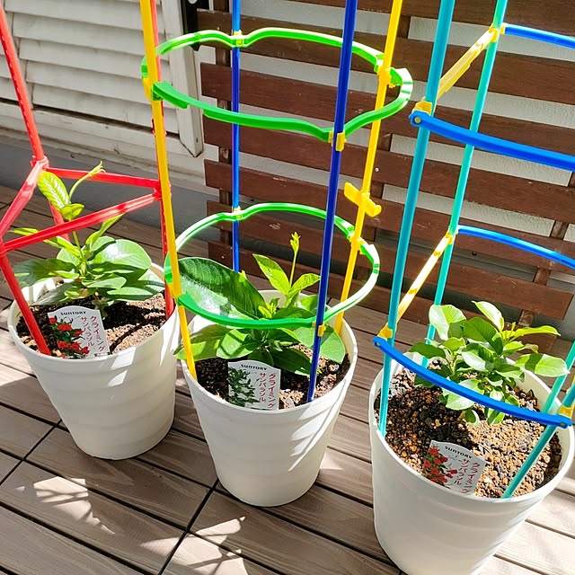 VERANDARJUNさんの実例写真