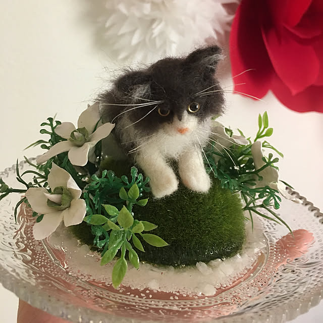 Sumuuさんの実例写真