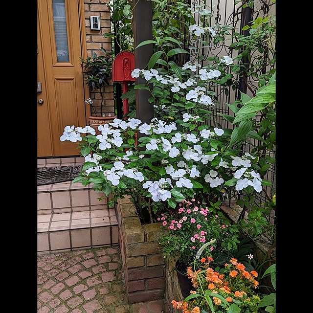 aromameさんの部屋
