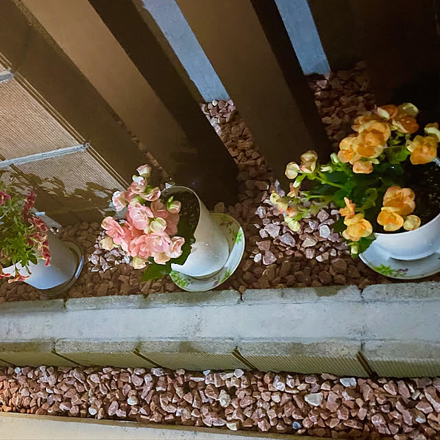 Shinさんの実例写真