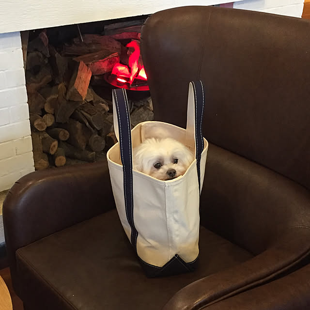 adeleさんの実例写真