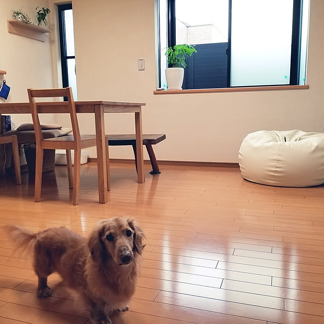 tydaさんの実例写真