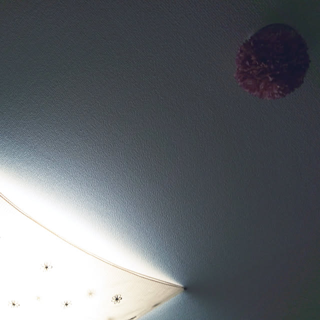 Kazu.Sさんの実例写真