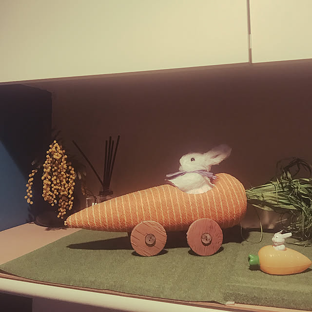 kuchisonaさんの実例写真