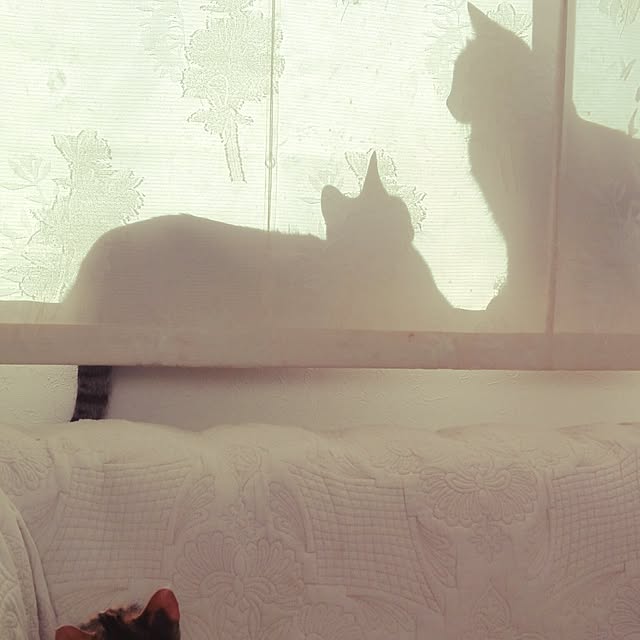 noraさんの実例写真