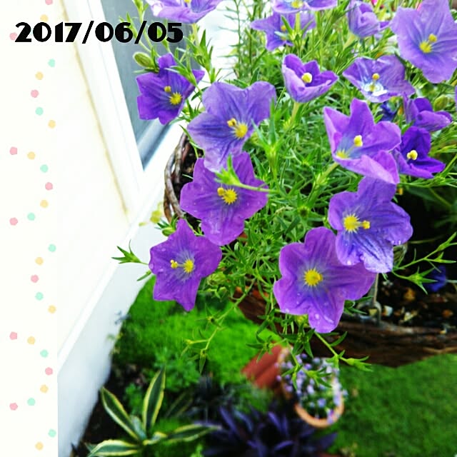 bousuke.215112さんの実例写真