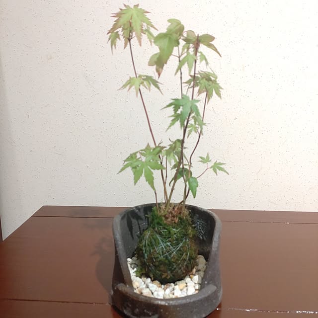 keemo293さんの部屋
