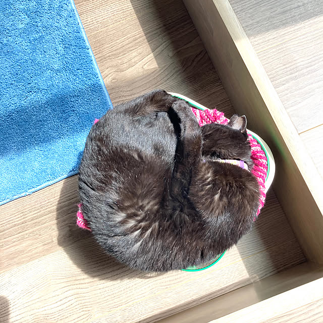 ma.kiさんの部屋
