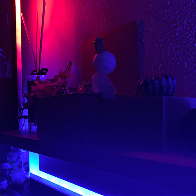 auraさんの実例写真