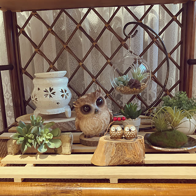 momokaさんの実例写真