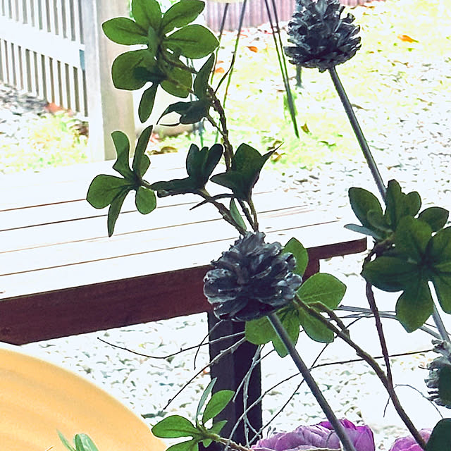 chacoさんの部屋