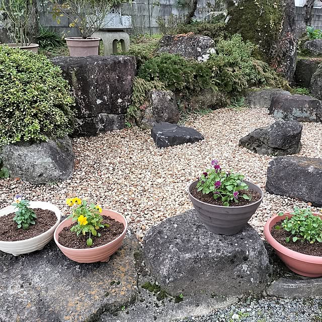 sumimarumiさんの部屋