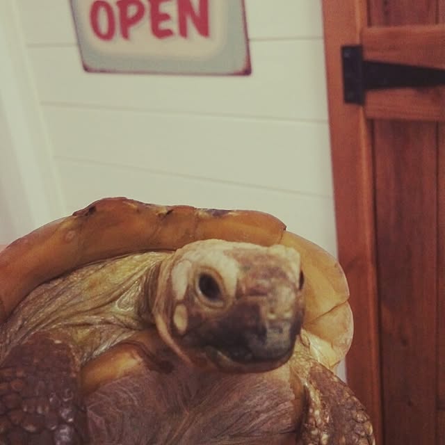 UGさんの実例写真