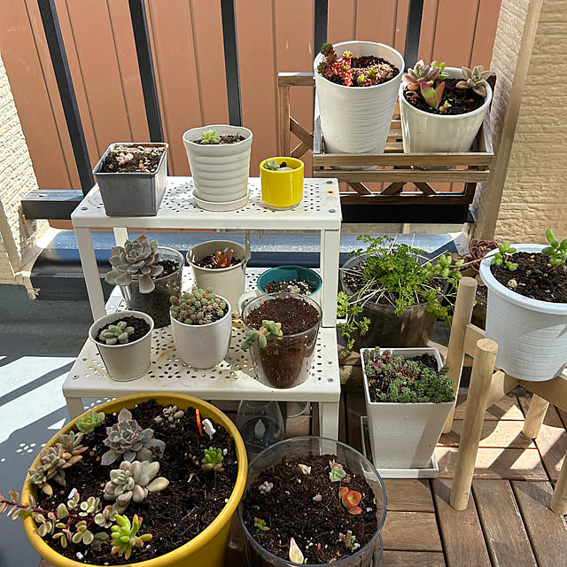 ruuuさんの実例写真