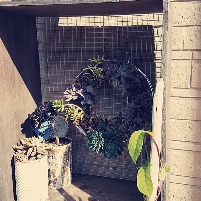 masarinn.さんの実例写真