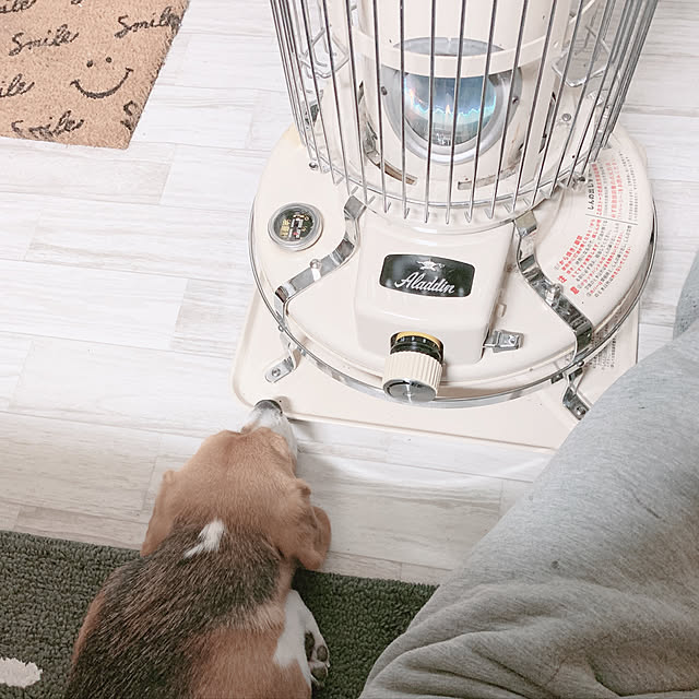 lovekuma_emilyさんの実例写真