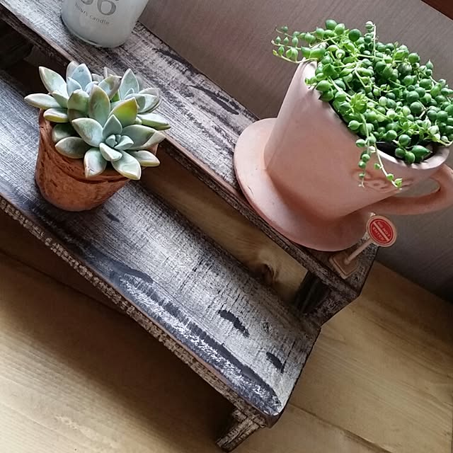 junkさんの実例写真
