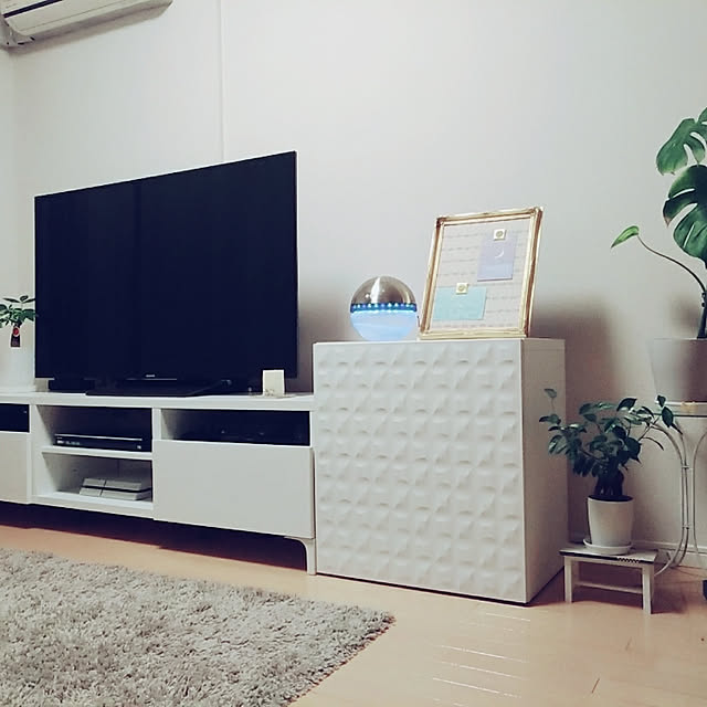 toraさんの実例写真