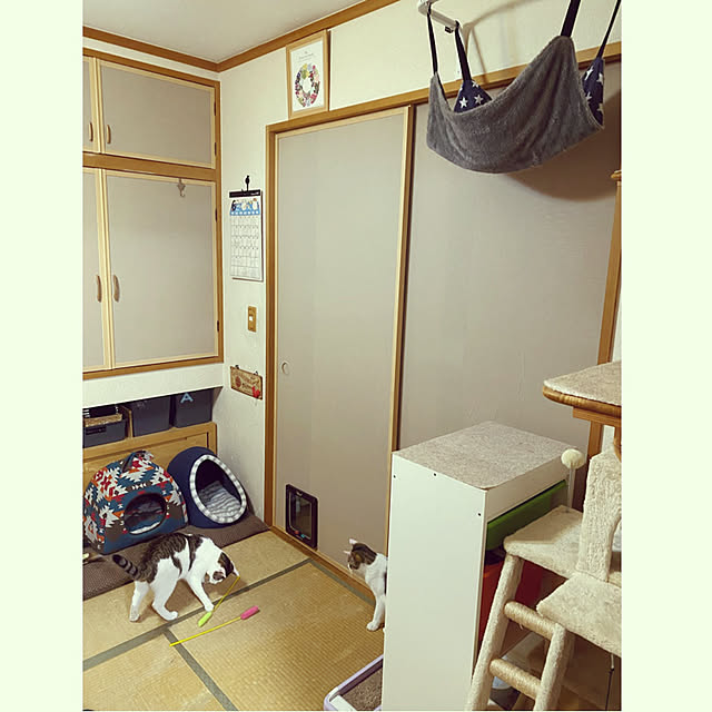Lufuさんの実例写真