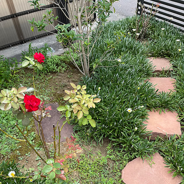 kakoさんの実例写真