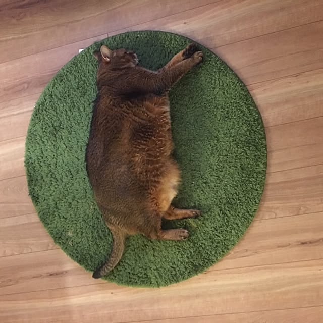 muuさんの実例写真
