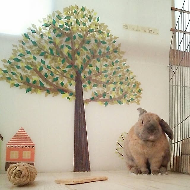 chocoさんの実例写真
