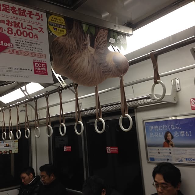 slothさんの実例写真