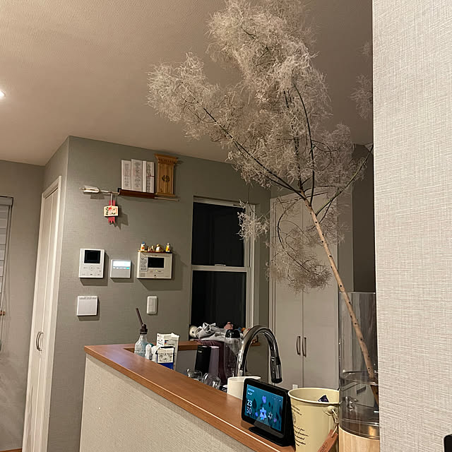 ikuzakさんの部屋