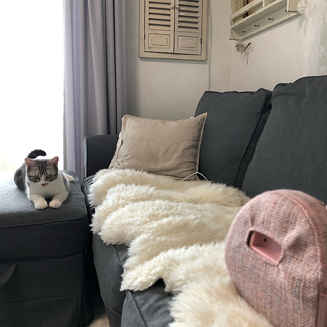 Atelier.mさんの実例写真