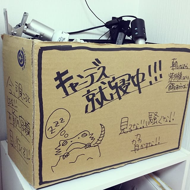 Chikaさんの実例写真