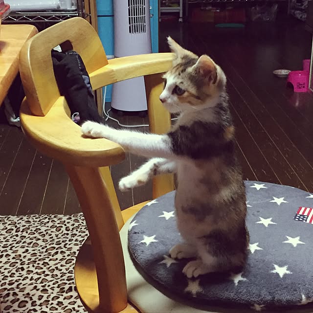 vivienne.coco-keiさんの実例写真