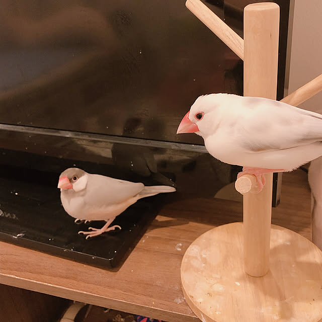 nkmrmdr0104さんの実例写真